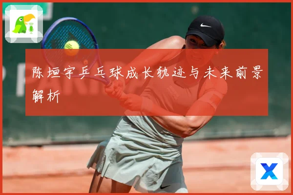 陈垣宇乒乓球成长轨迹与未来前景解析