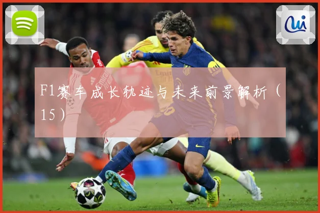 F1赛车成长轨迹与未来前景解析（15）