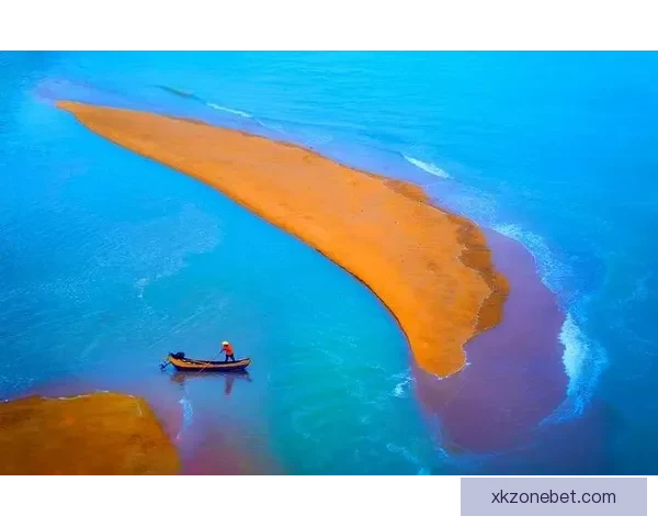 世界杯赛事深度解析与体育竞猜策略全方位指南